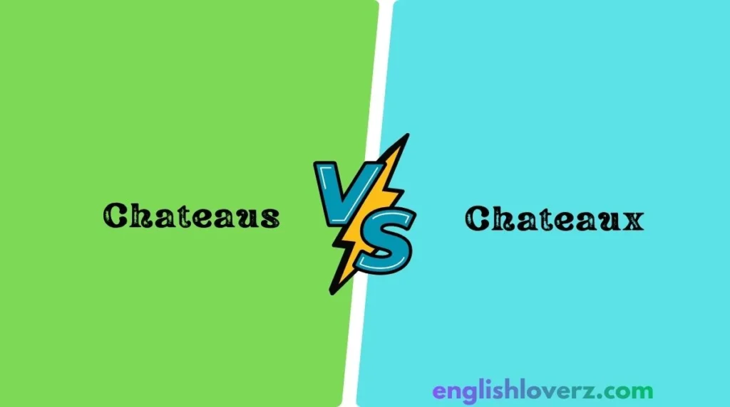 Chateaus vs Chateaux