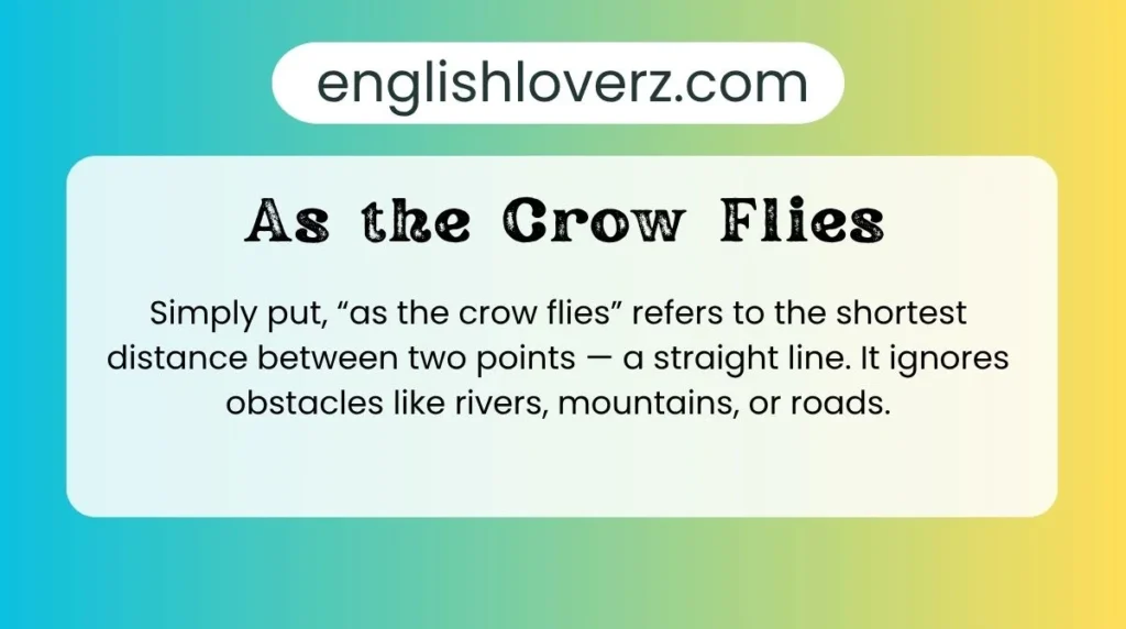 As the Crow Flies