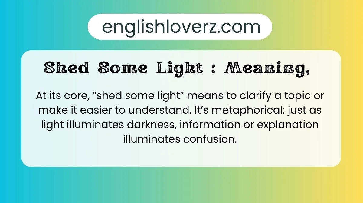 Shed Some Light 💡: Meaning,